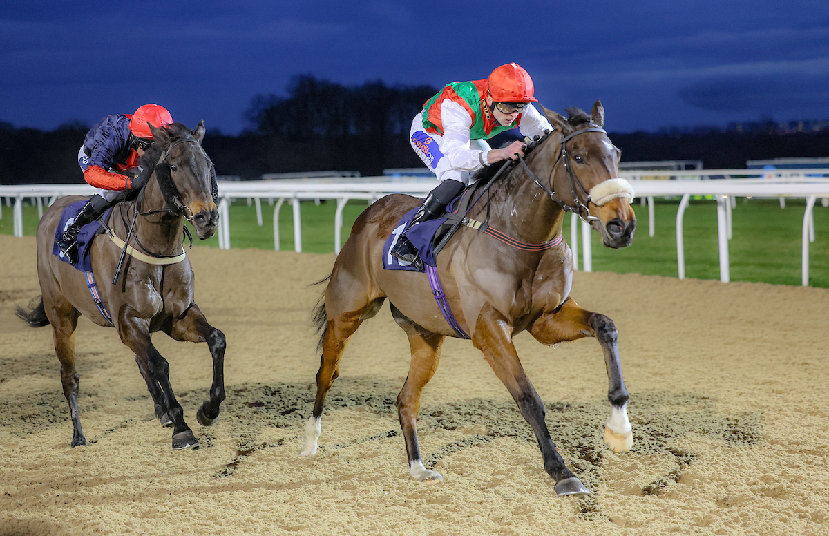 Three runners at @NewcastleRaces tonight. Cuban Storm, Abruzzo Mia, and Marcello Si are all ridden by @connorbeasley9. Good luck to connections