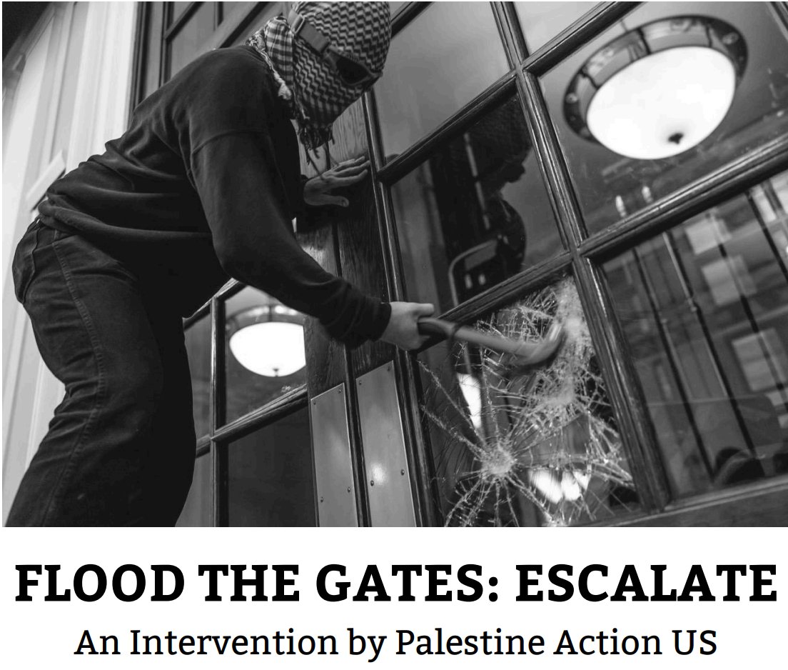 Yesterday, Palestine Action US, an anti-Zionist org dedicated to 'direct actions' such as vandalizing weapons companies with ties to Israel, released an egregious pamphlet calling for violence from anti-Israel activists. The group has more than 75K followers on Instagram. 🧵