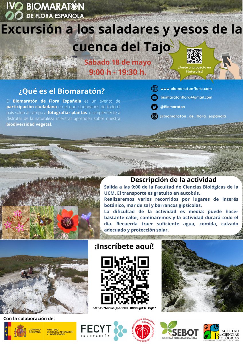 Excursión a los saladares y yesos de la Cuenca del Tajo. Sábado 18 de mayo. 9:00 h. en @BiologiaUcm Todo un día d plantas. Dificultad media. ¡Gratis! ¡Incluye transporte, guías botánicxs y premios! Plazas limitadas, regístrate: docs.google.com/forms/d/1DeZqG… biomaratonflora.com/eventos-biomar…