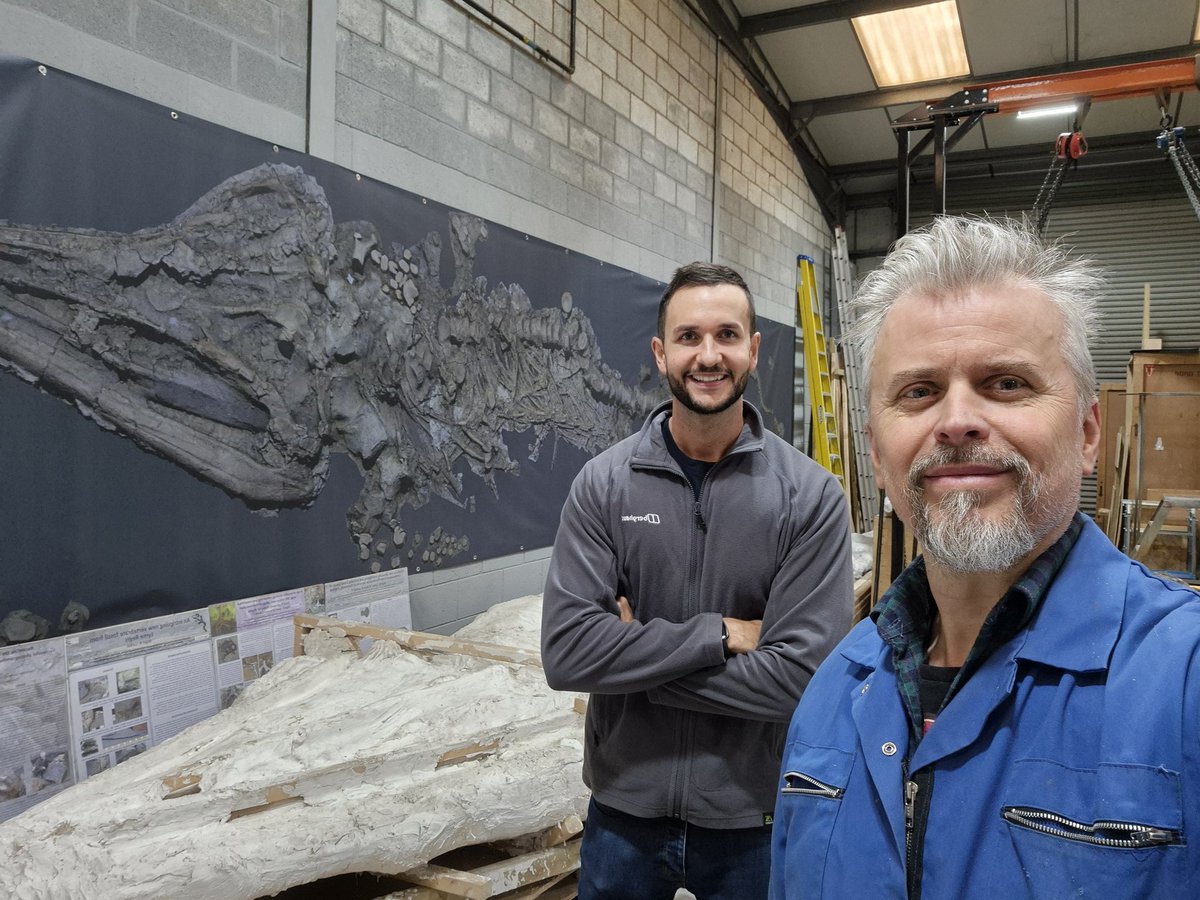 Can you guess this dinosaur skull? Okay, I’ll give you a hint. Utah… that’s the hint. Just fill in the blank. Bonus Rutland Sea Dragon in the background. It was great to catch up with @MrIchthyosaurus yesterday and discuss all things research. #FossilFriday