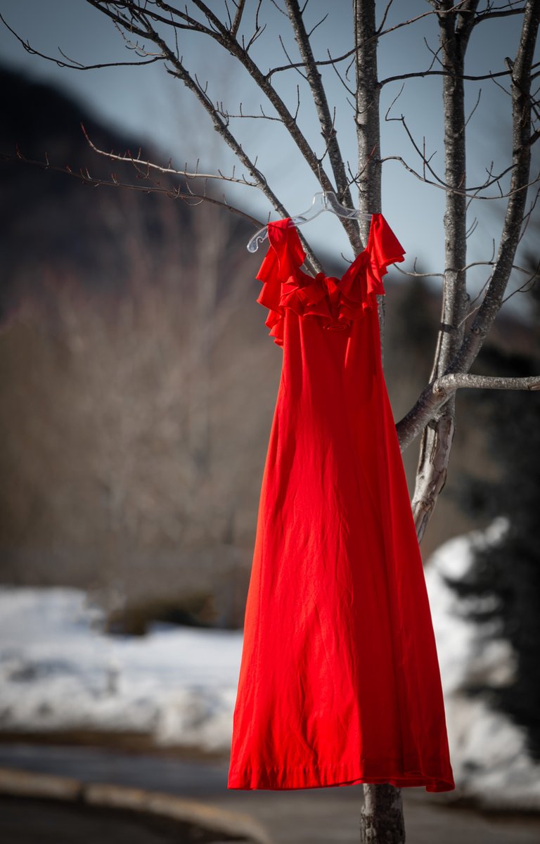 In honour of Red Dress Day, flags at all Strathcona County facilities will be flown at half-mast from sun-up to sundown on Sunday, May 5th, 2024. 
Learn more: alberta.ca/red-dress-day
