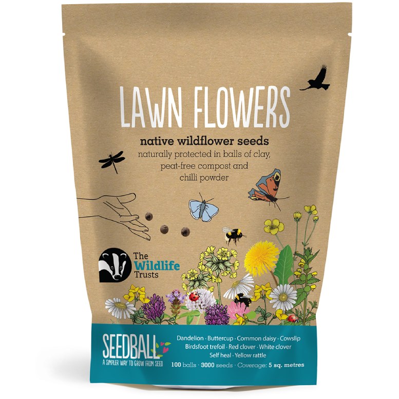 This mix contains a diverse selection of wildflowers specifically chosen to thrive in low-maintenance lawn settings. For every sale of our Lawn Flower Mix, we donate £1 to the Wildlife Trusts, supporting their vital conservation work across the UK
seedball.co.uk/product/lawn-f…
#NoMow