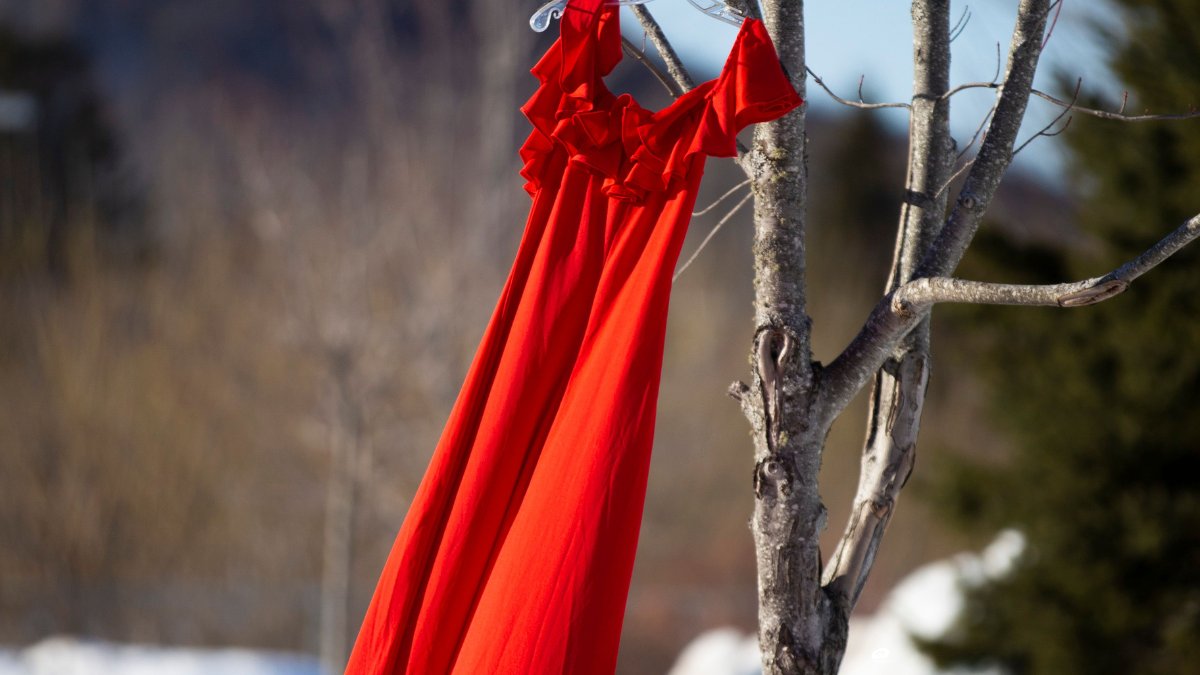 This Sunday is Red Dress Day, a day of awareness and action for missing and murdered Indigenous women, girls, and two spirit+ individuals. Safe, affordable, appropriate housing is critical to ending this national tragedy. Check out events near you. bit.ly/4dpeHXa