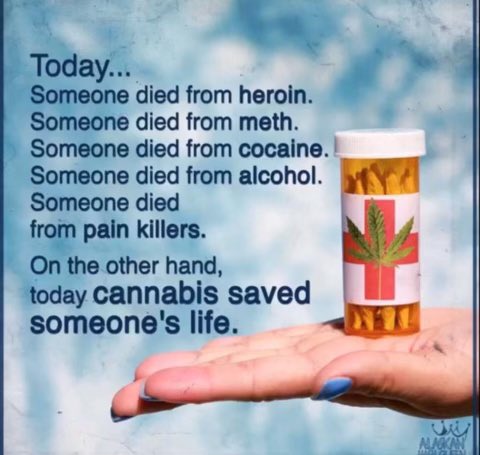 Facts!!! #Cannabis #LegalizeIt #CannabisCommunity #Mmemberville