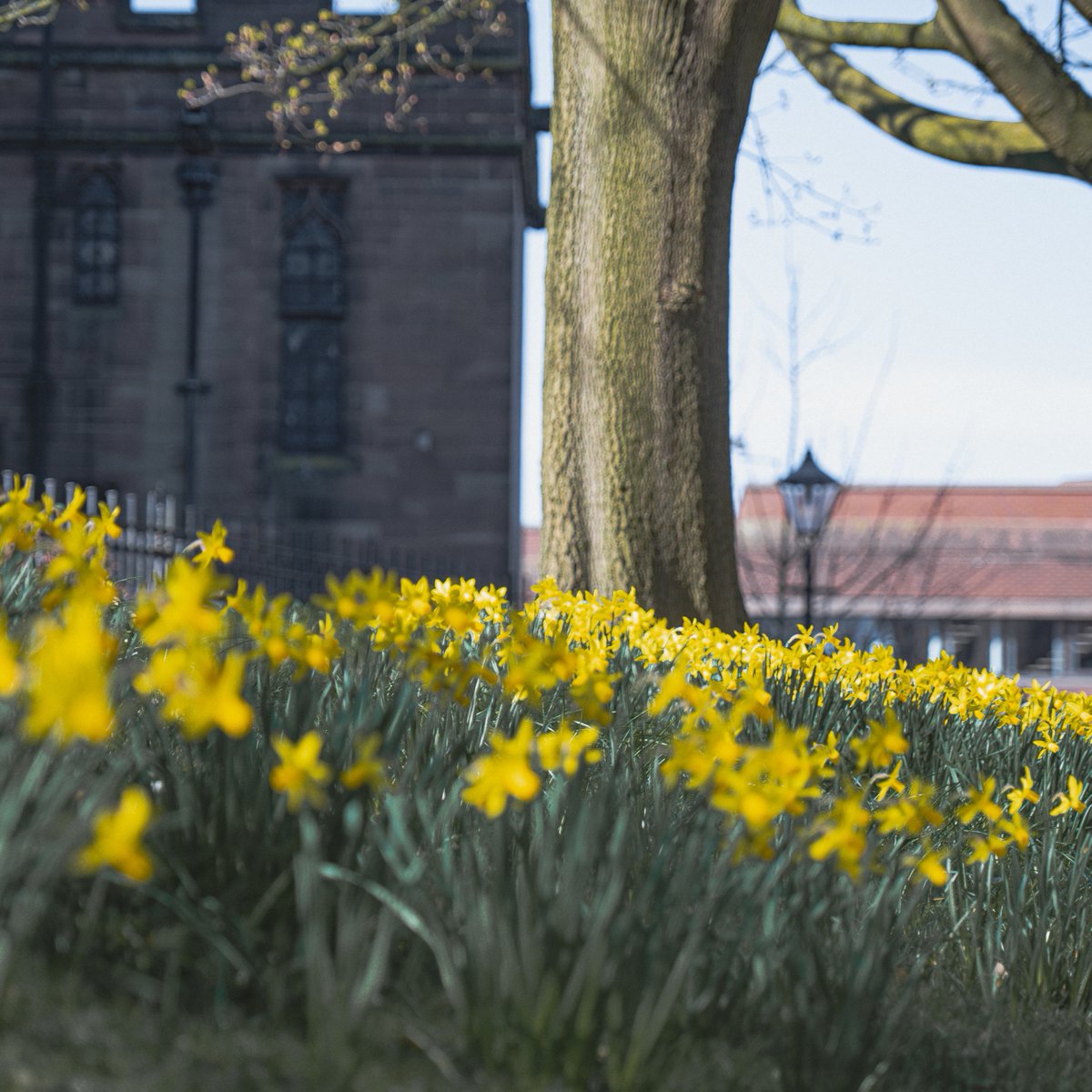 May Bank Holiday reminder: The University will be closed on Monday 06 May and reopen on Tuesday 07 May. Library opening hours 👉 bit.ly/4bkxYHz Need support over the break? Visit 👉 bit.ly/3MmAzaW