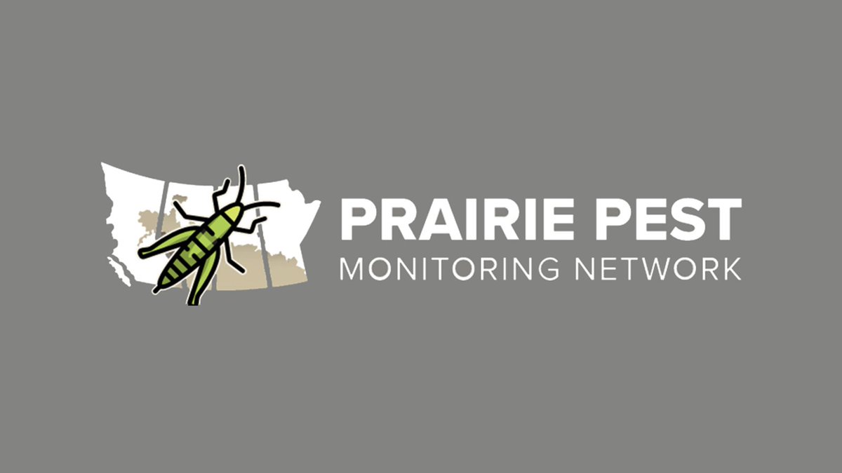 Before the growing season gets into full swing, make sure you sign up for weekly updates from the Prairie Pest Monitoring Network. Subscribe today for insect forecasts, risk maps and more: ow.ly/QvOC50R70Sl #cdnag #westcdnag #MbAg #MBFarms