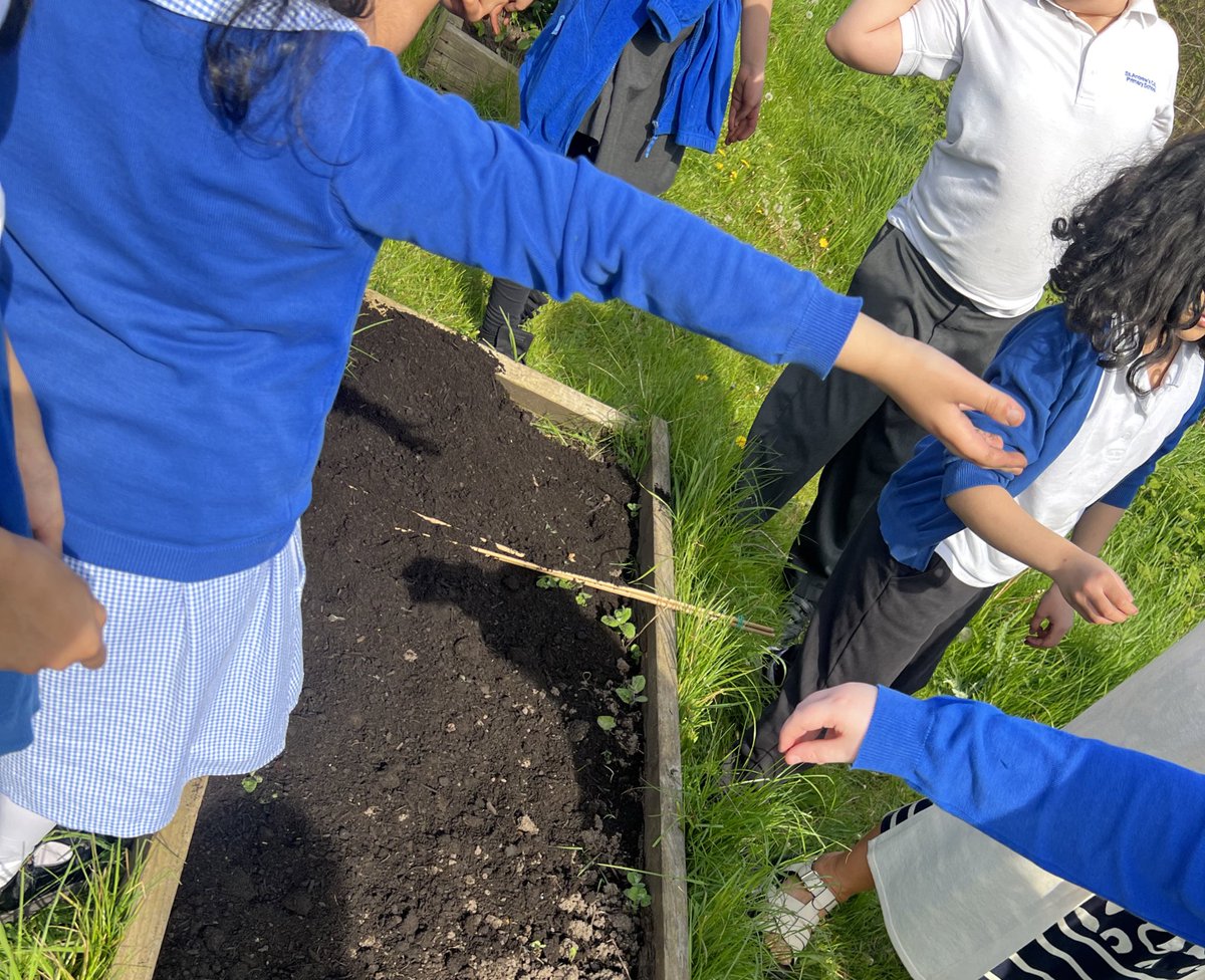 Gardening club were busy this week down at the @IELevy beds at the Quadrants by Fallowfield Loop, filling beds with soil and planting green beans, potatoes and sunflower seeds.

Thank you to our wonderful young people for improving the local environment for everyone!
#Levenshulme