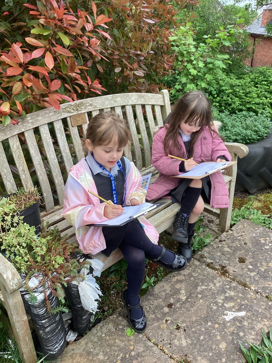 1A have spent the afternoon looking for garden and wild flowers. We then did an observation at drawing.