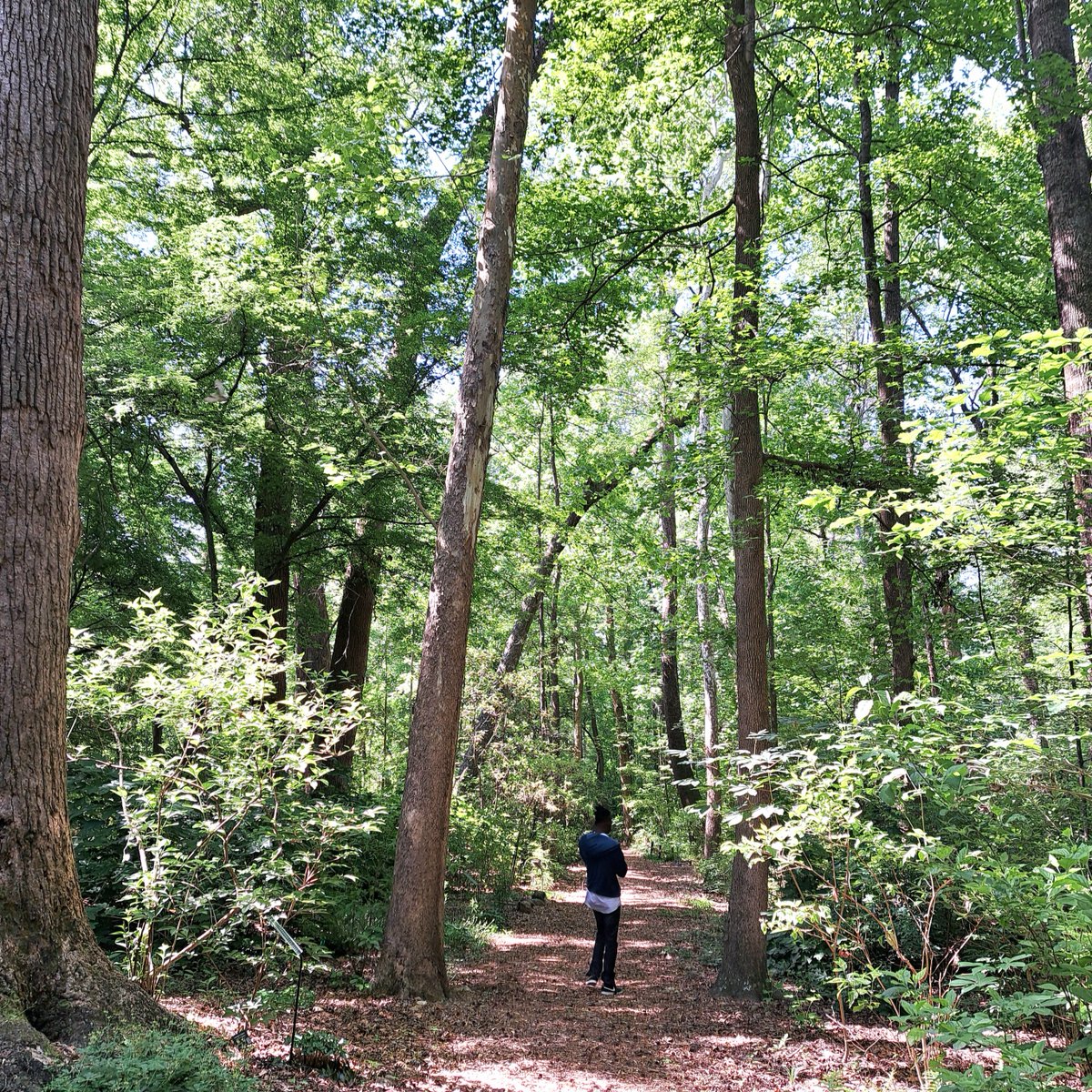 Residents at Rapid Shelter Columbia have recently been guided on a nature walk through W. Gordon Belser Arboretum. Director, Trey Franklin, was a wealth of knowledge and interesting facts, and we sincerely thank him and his crew for making our trip a memorable one!