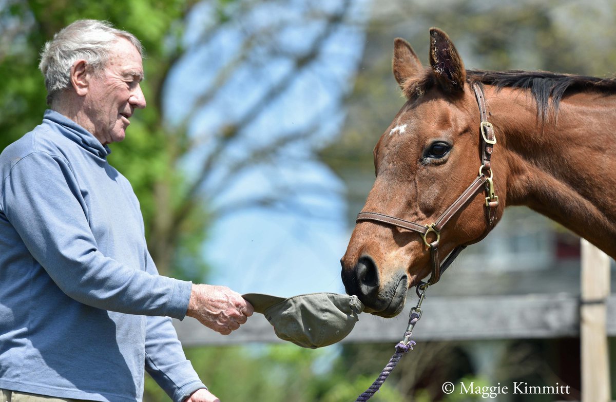 Happy birthday to Magic Weisner! Pictured here with onetime owner Bunny Meister, Magic Weisner is best-known for finishing a fast-closing second behind War Emblem in the 2002 Preakness-G1! He now resides at @oldfriendsfarm in Georgetown, Ky.