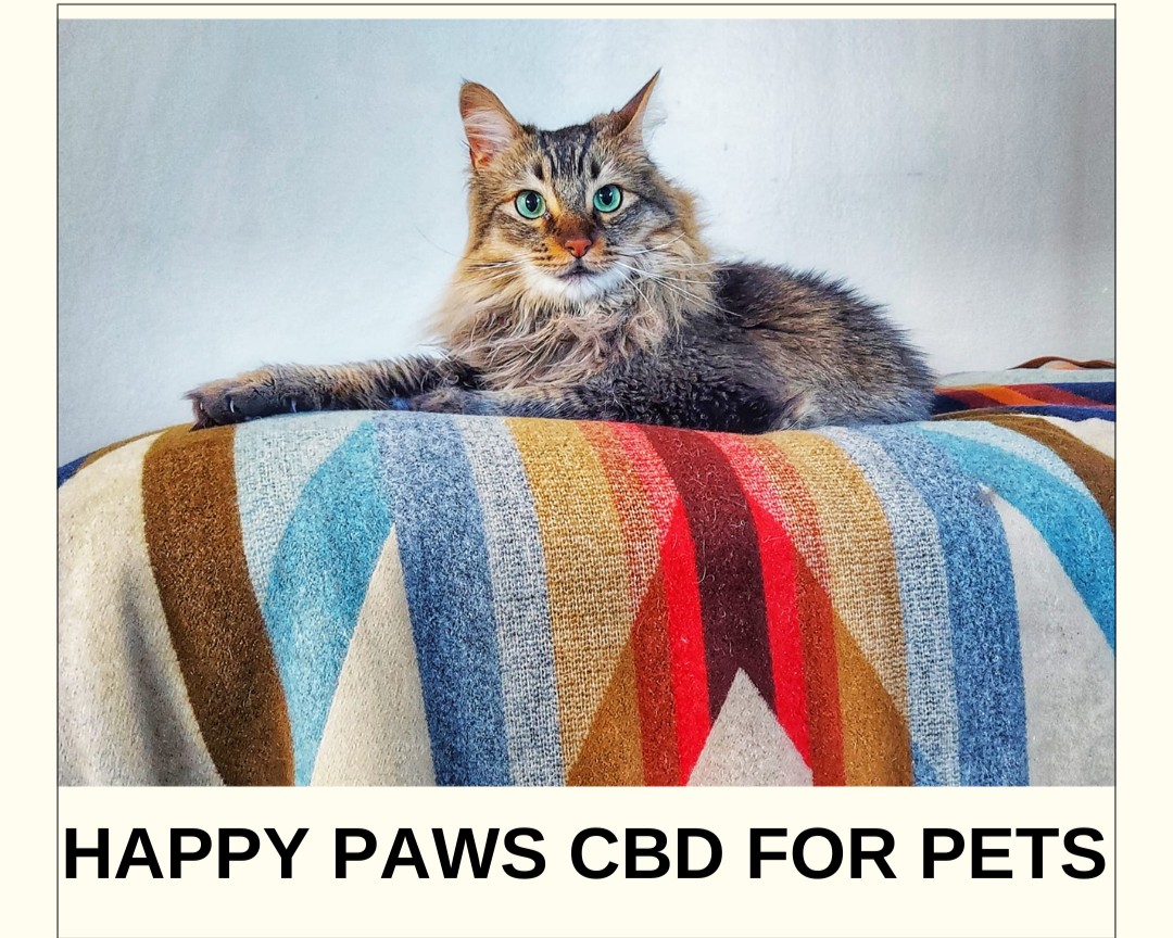 Our Happy Paws Organic Pet CBD Oil is sourced from raw Canadian CBD-rich hemp and third party tested for purity and potency- we offer safe and effective comfort and calm for your fur pals - and Jasper approves! Purchase at JeffsBest.net (Link in profile) 🐾