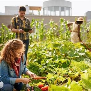 Expo Sunderland’s next pilot event will be held 28–30 May at Keel Edge & City Hall. “Come Outside” will be held over 3 days and you can explore sustainable outside exhibits and activations. To find out more visit orlo.uk/o9jhC #exposunderland #comeoutside