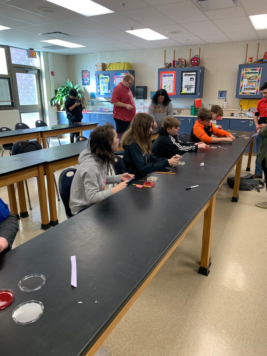 7th Grade Science: Microbiology Lab