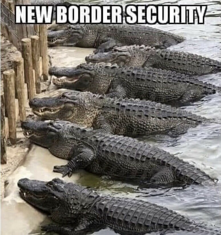 RECOMMENDED SECURITY FOR OUR SOUTHERN BORDER. GUARANTEED TO WORK!