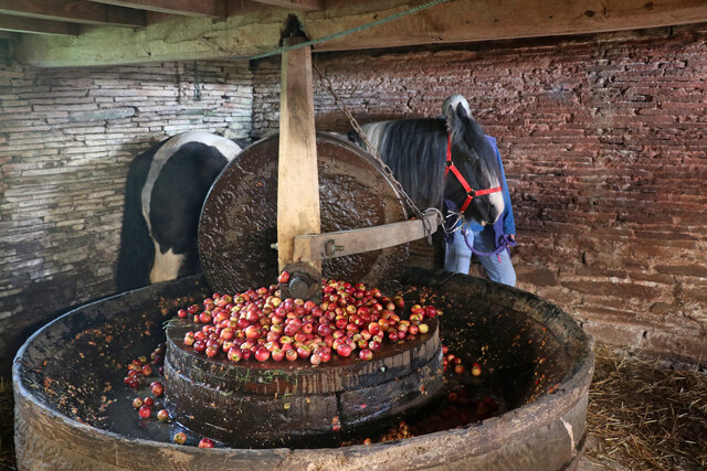 Looking for mills to visit this #NationalMillsWeekend? We’ve rounded up 11 of the most unmissable events in the #Midlands. Take a look! ow.ly/55yb50Rv1HJ 📅 11 - 12 May, 2024 Photo: Fair Oak Cider Mill © Chris Allen CC BY SA 2.0