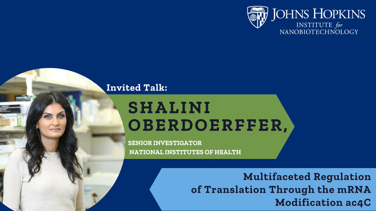 Only two more days to register for the Nano-Bio Symposium! The day will be complete with panels, talks, including Shalini Oberdoerffer's talk 'Multifaceted Regulation of Translation Through the mRNA Modification ac4C' and a poster competition. inbt.jhu.edu/rna-innovation…