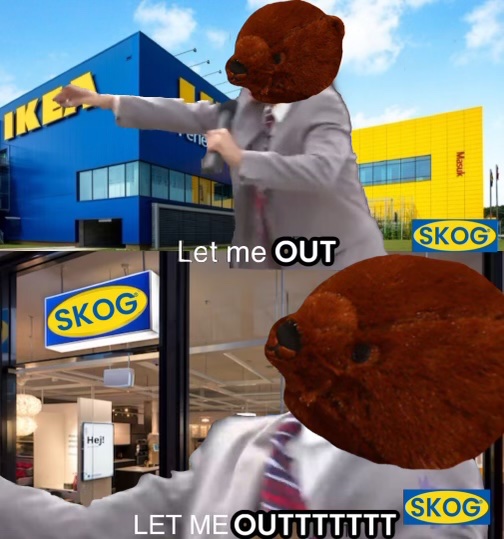 NO $SKOG WILL BE LEFT BEHIND. ALL BEARS WILL MAKE IT OUT THE BLUE AND YELLOW