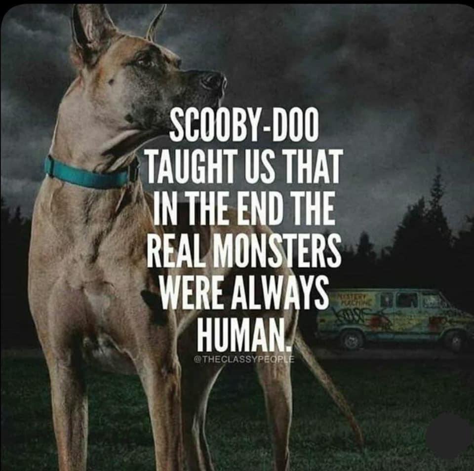 Just thinking of the doggies out there who are abused and mistreated…I love seeing the feel good videos,then i see one where an innocent  is putdown in the most cruel way and it breaks my heart. help them when you can, they are loyal to the end! #mansbestfriend 🐾♥️