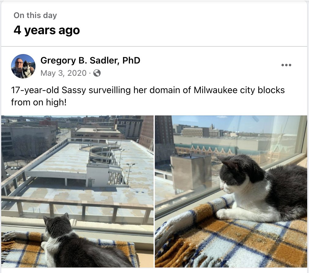 Sassy was a little cat with a big personality. That butterscotch blanket, which my grandma gave me as a kid and I've kept all these years, became one of her favorites. She loved getting up on the window ledge and watching the people and the birds (seagulls & crows) below!