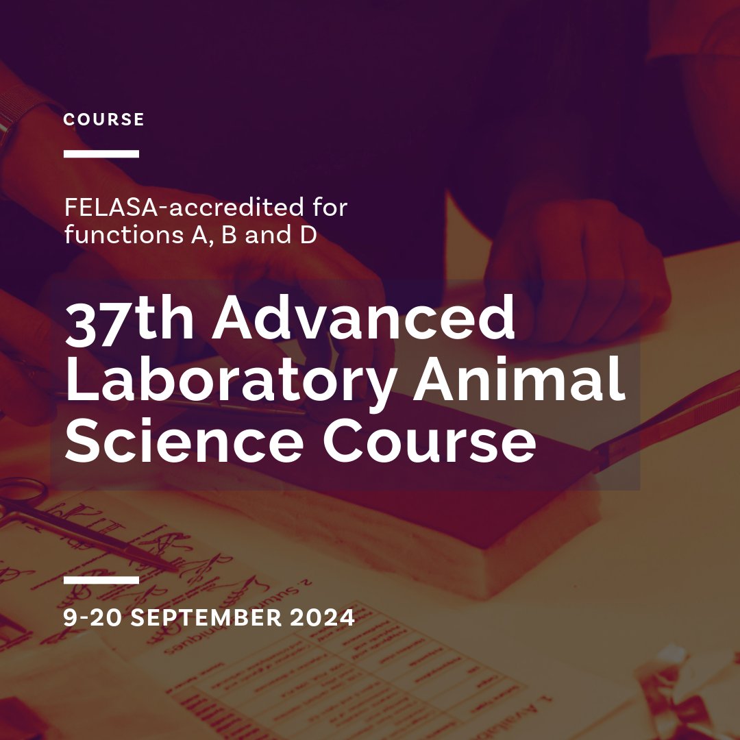 This course (the only #FELASA-accredited course in🇵🇹) covers Functions A, B and D, focusing on designing, planning and carrying out experiments to minimize animal harm. Early registration⏰10May ✍️Limited capacity ➕tinyurl.com/zcxakzrj #i3Straining #LAS #animalexperimentation