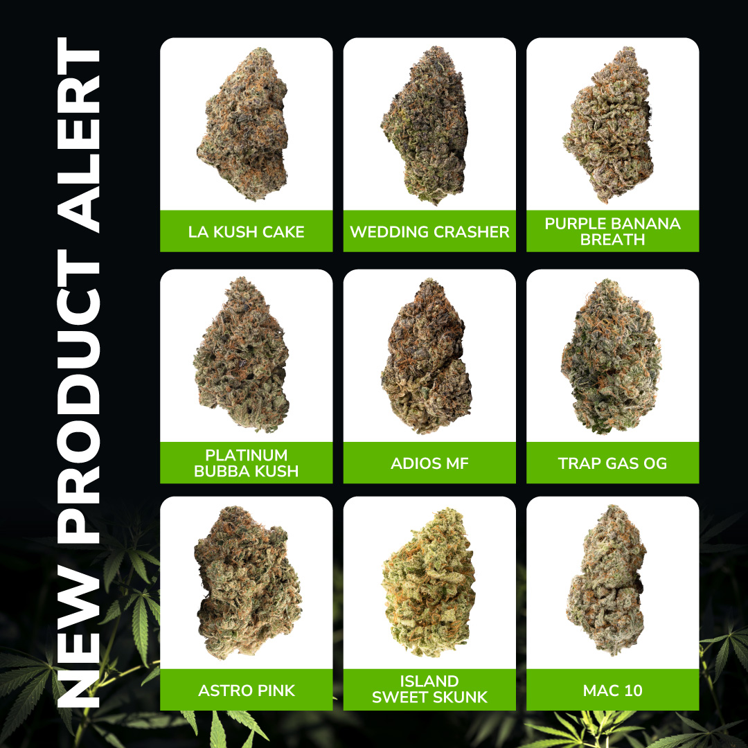 Which strain would you pick first?🤔

🔥Treat yo self now! bit.ly/47cSurI 

#Mmemberville #CannabisCommunity #cannabisculture #StonerFam #Canada #weedsmokers #herbapproach #stoners #420Life #WeedLovers