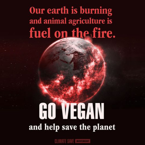 Animal agriculture is a major contributor to #globalwarming.

Choosing a plant-based diet is a powerful way to reduce your #carbonfootprint and combat #climatechange. Let’s be the change we want to see for a sustainable future!🌎✨🌱

#ClimateCrisis #GoVegan #ClimateAction
