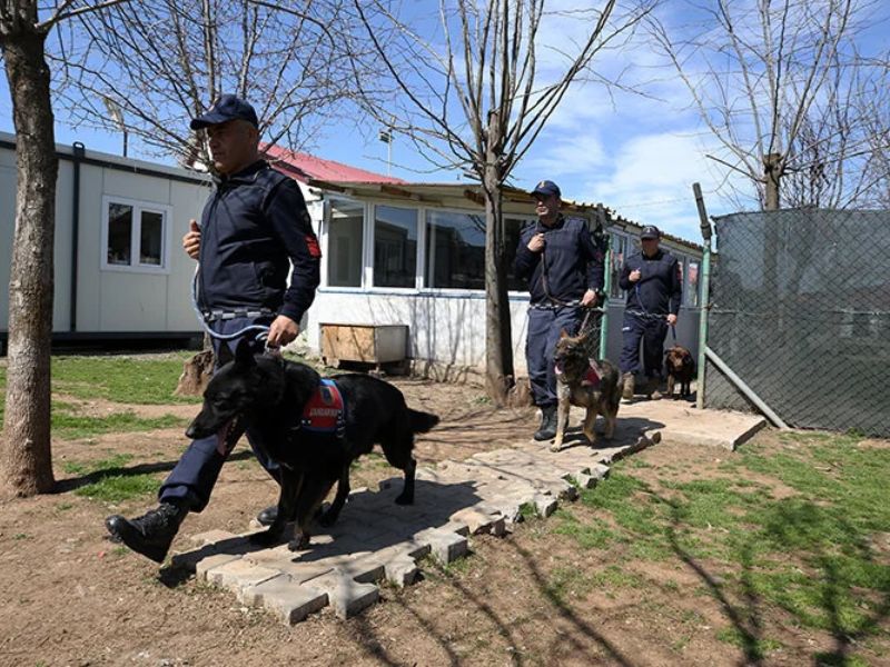 'Günlük eğitimler verilmektedir' 🐕‍🦺🐺🐶.     Muş' İl Jandarma Komutanlığı bünyesindeki 20 dedektör köpek, koku alma yetenekleri ve aldıkları özel eğitimle terörle mücadele, uyuşturucu, kaçakçılık ve asayiş operasyonlarında jandarmanın en büyük yardımcısı oluyor. ++