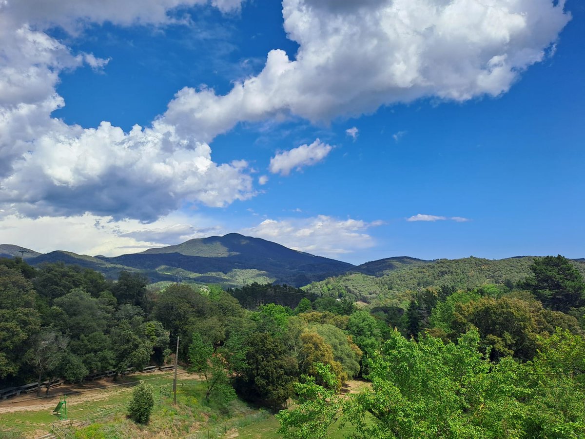 Avui finalitzem el Stage de #Mediació #Escolar.... acabem la #formació dels nous mediadors escolars per la millora de la #convivència i els #conflictes......participació d´Alumnes i professors d´ #institutDomènechPerramon......#EsMediacio agraeix #AjuntamentArenysdeMunt i l´Inst.