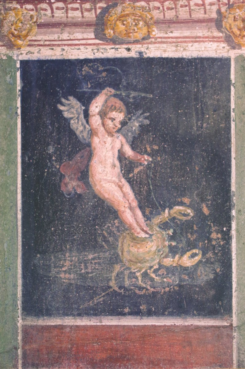 #FrescoFriday; from the atrium of the House of the Vettii at #Pompeii, a small panel with a scene of Cupid riding a crab; one of many daring and industrious Cupids depicted in the house.

#Archaeology #RomanArchaeology #Italy