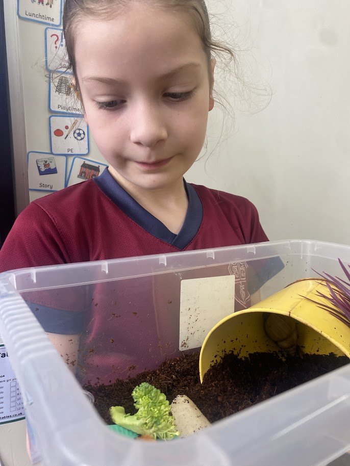 Year 2 had a visit from Bob! He is a Giant African Land Snail, and he loves eating strawberries! 🍓 🐌

#SacredHeart #GrowInLove #Teddington