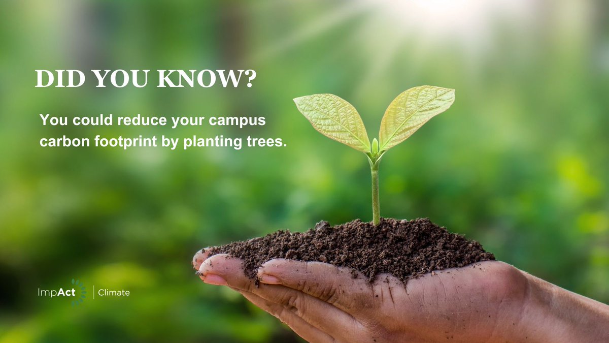 #DYK you could reduce your campus carbon footprint by planting trees? 🌳

Discover how reforesting your campus, converting lawns into canopied areas, and rehabilitating natural areas goes beyond just beautification. Access the recording ► ow.ly/p9V650Rr9Ve 

#ImpActClimate