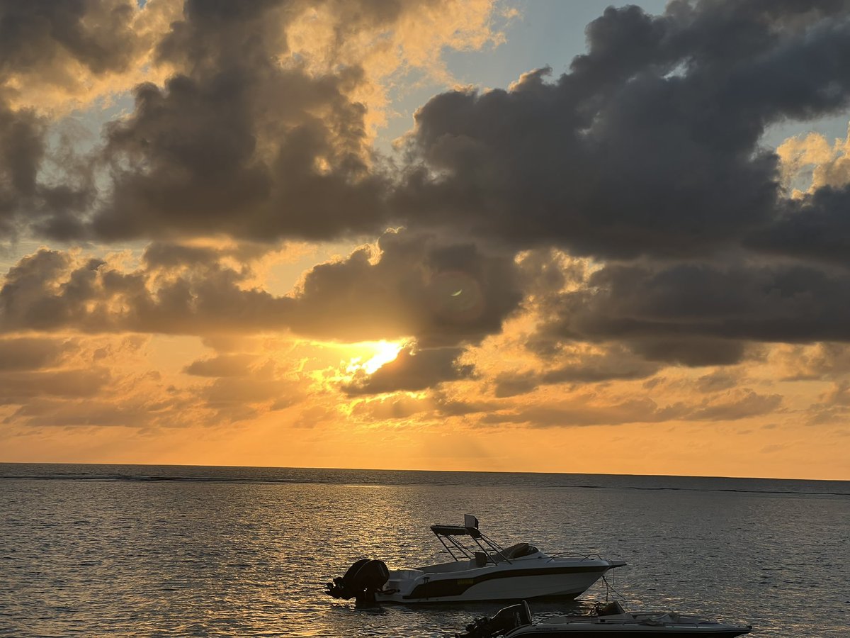 Dame Heather McGregor tweet media