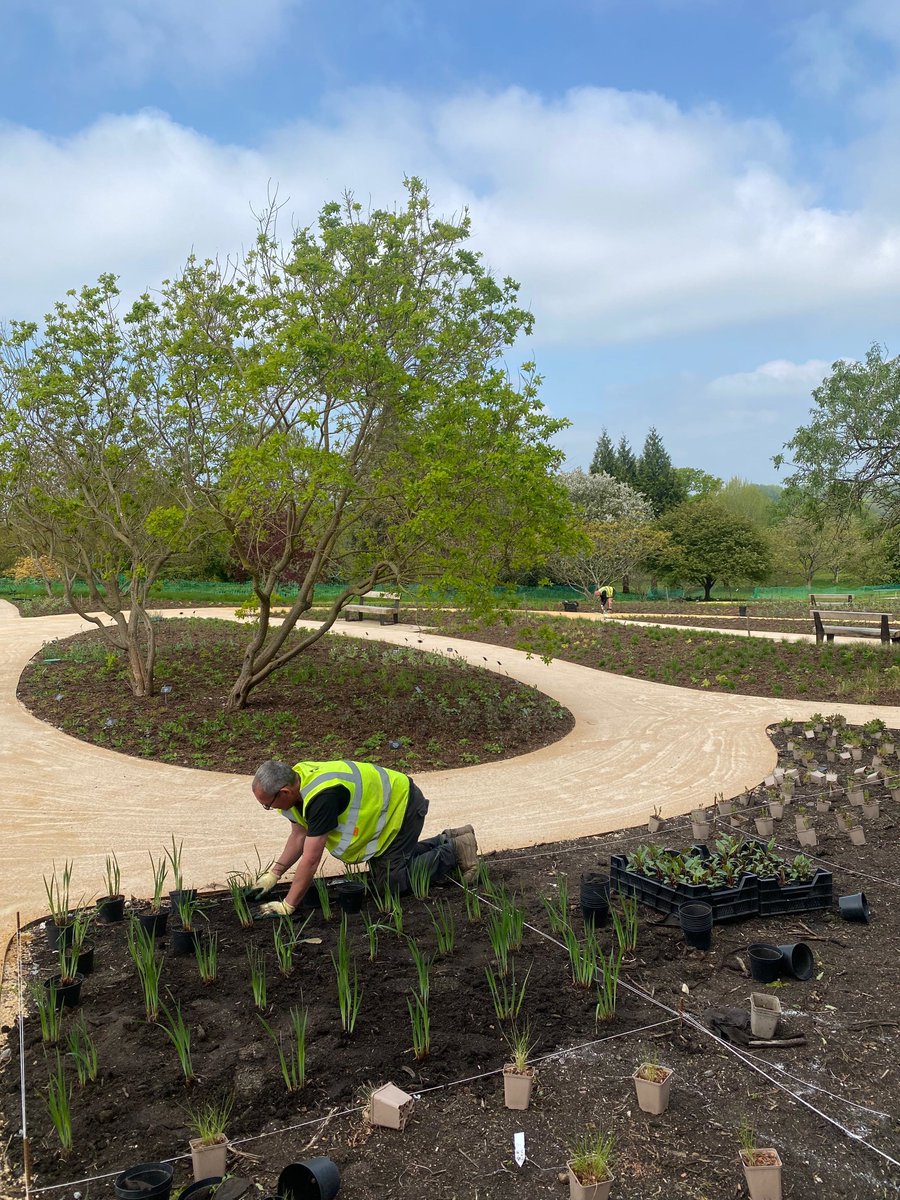 This week, our dedicated team member, Geoff Barber, has been working alongside the @RHSWisley Team assisting with the Oudolf Landscape planting. In total over 36,000 perennials, grasses and woody plants have been planted.

@The_RHS  @Matthew_Pottage @gardenerjonesy
#PietOudolf