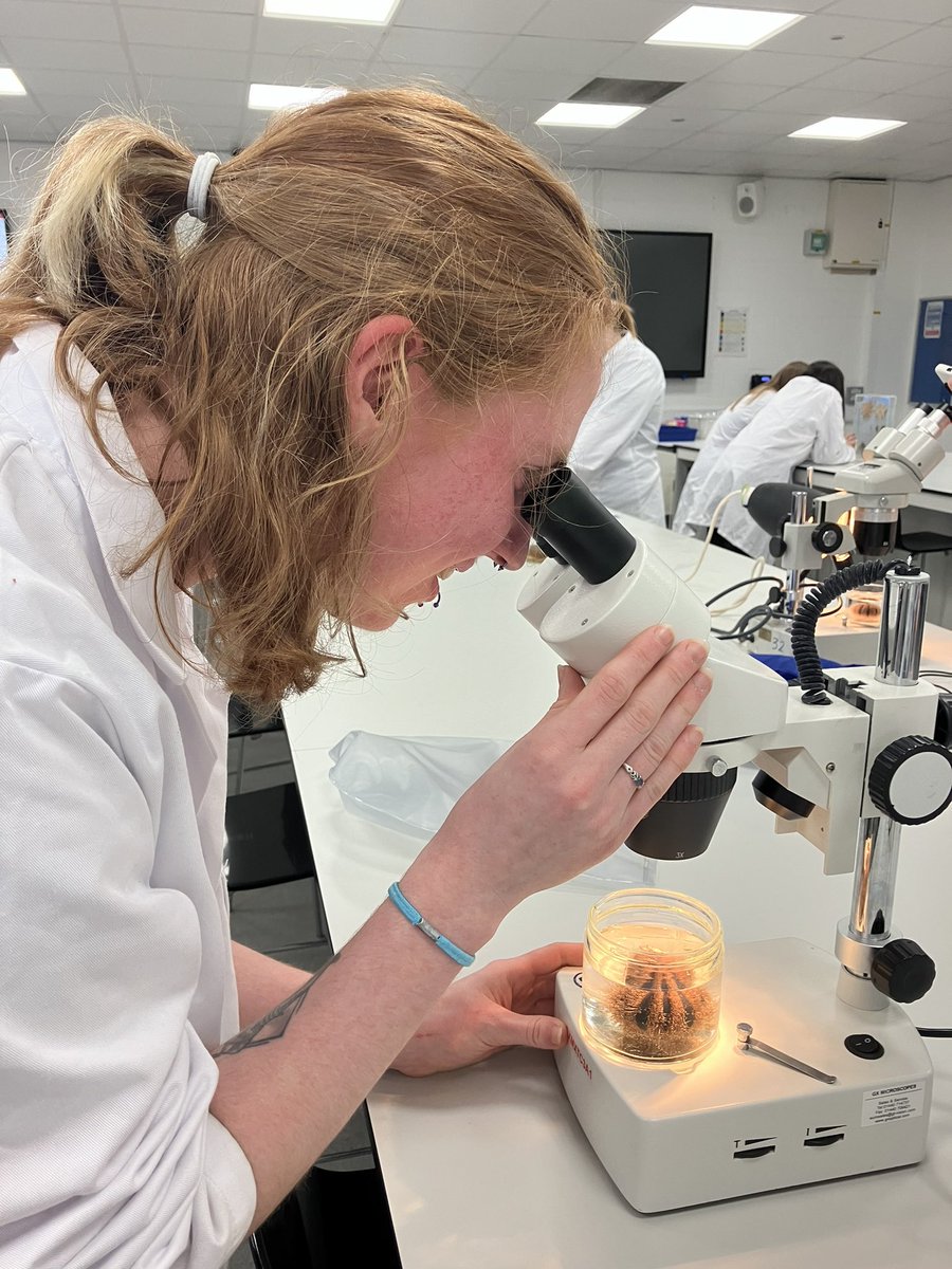 Students getting up close and personal with our home bred urchins @DerbyUni zoology course - “it’s fucking sick” (by sick I’m told she means it’s really cool).