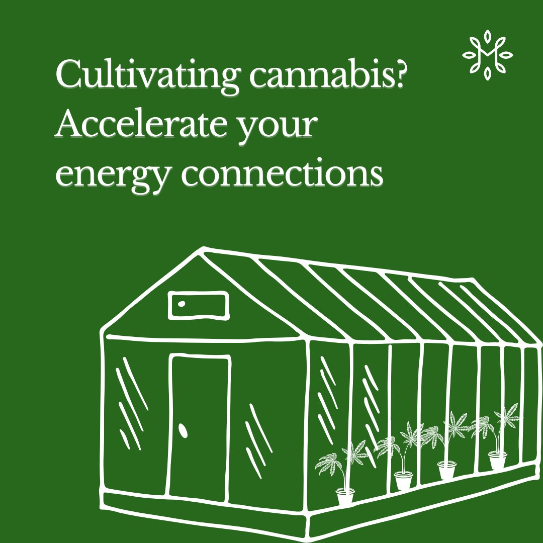 Are you navigating the complex energy needs of your UK-based medical cannabis business? We understand the challenges, especially when it comes to high energy consumption. 🌱 Find out about sustainable energy practices tailored to the cannabis industry: mapletreeconsultants.co.uk/service/energy…