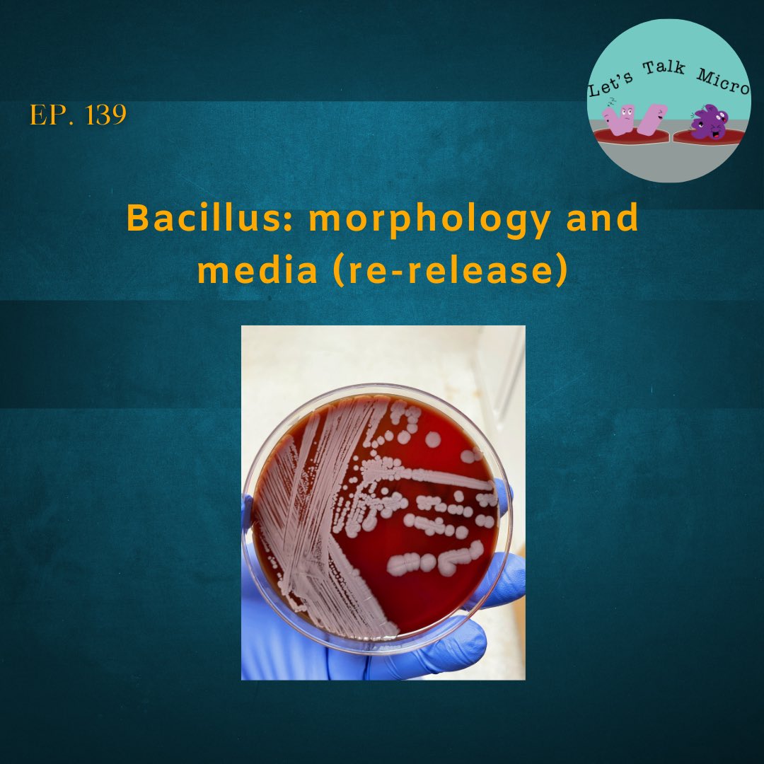 Happy Friday! A new episode is now available. Tune in to learn more about Bacillus: media, morphology, and more. Download it today! Link in comments. 

#medtwitter #IDtwitter #medlabsci #microbiology #podcast #stem #bacillus #FridayFun