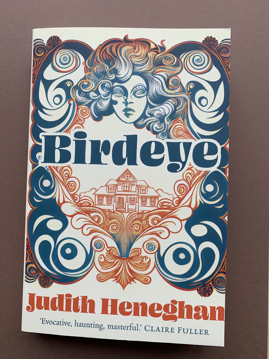 Nice unexpected #BookPost - Birdeye by @JudithHeneghan, out soon from @saltpublishing (thank you!). A novel 'about tolerance, the choices we make in good faith, & ultimately, what they cost'.