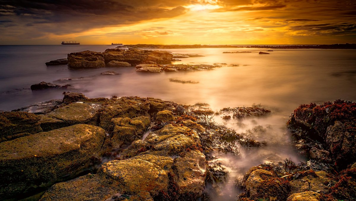 Where I love to walk.

@Pexels #WhitleyBay #Northumberland #Newcastle