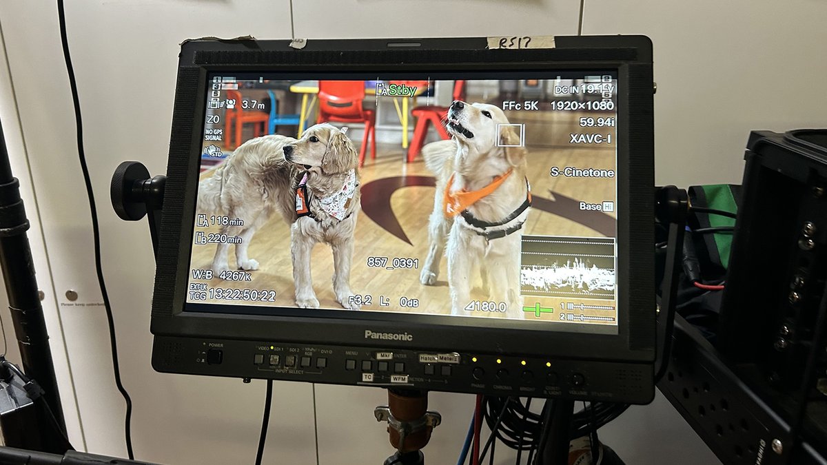 ClevelandClinicNews (@cleclinicnews) on Twitter photo ICYMI Kid and Trotter are ready for their close-ups!🐶
<a href="/GMA/">Good Morning America</a> featured our favorite facility dogs this morning and the paws-itive impact they've had on more than 4,600 of our pediatric patients and their families. 🫶
Check out their story➡️ bit.ly/3UsKEFq ICYMI Kid and Trotter are ready for their close-ups!🐶
<a href="/GMA/">Good Morning America</a> featured our favorite facility dogs this morning and the paws-itive impact they've had on more than 4,600 of our pediatric patients and their families. 🫶
Check out their story➡️ bit.ly/3UsKEFq