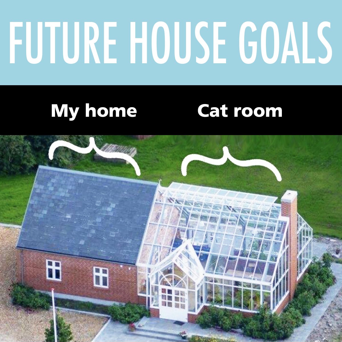 YES!! 😺😸😻

#FutureGoals #CatRescue #Catification #CatPeople #FridayFunny #Cats