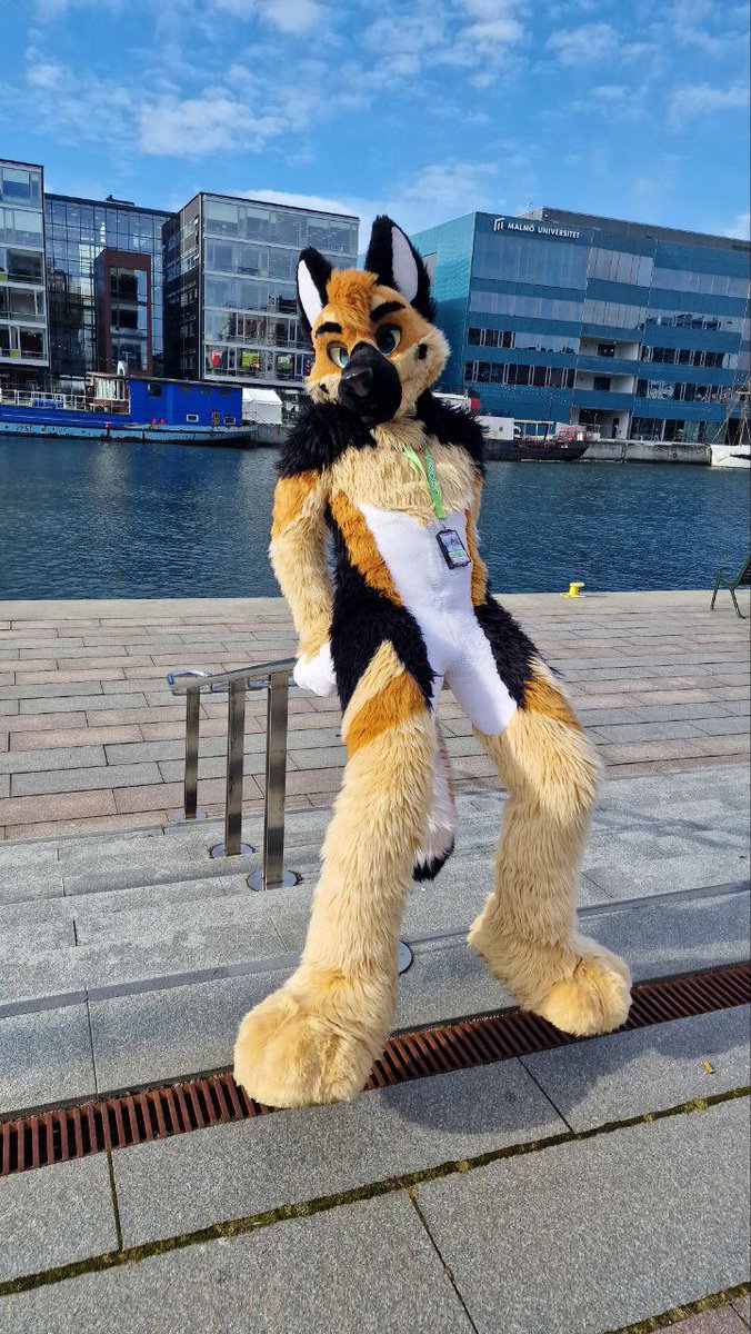 Bark come enjoy the view 
#FursuitFriday