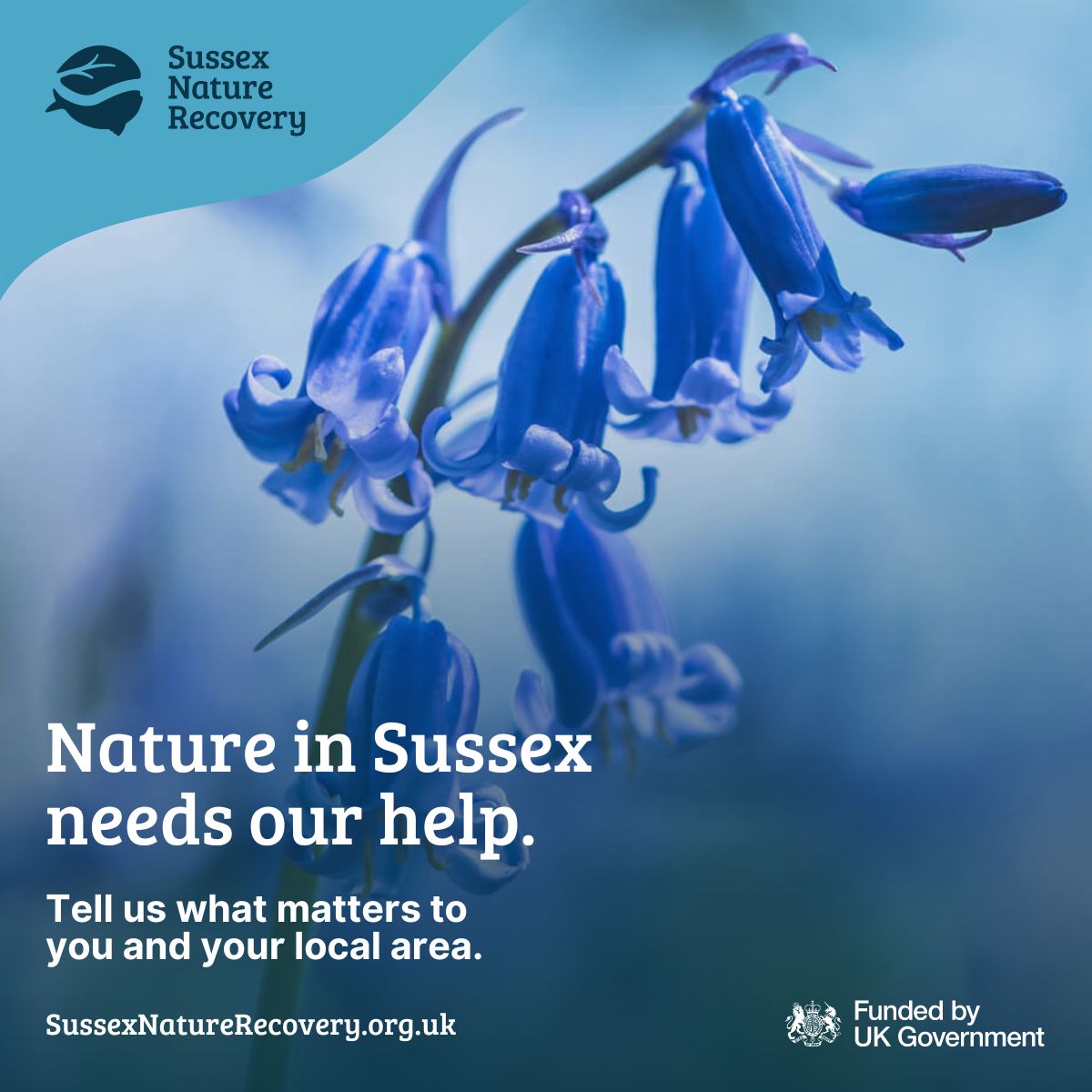 Live in Sussex? Have your say to help nature recover. 
Tell us about the local wildlife and places for nature you love by taking the public survey orlo.uk/Yh98V 
#WestSussexClimateAction