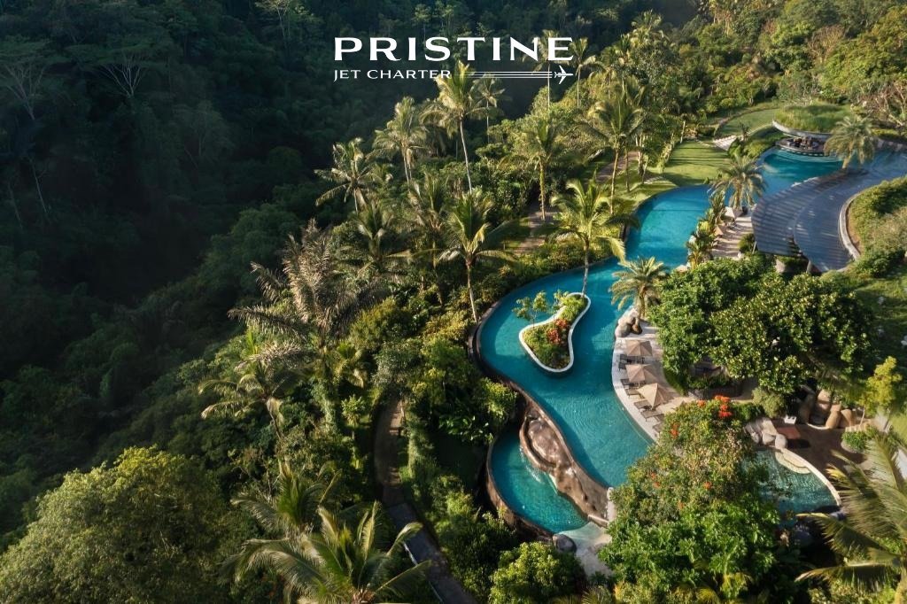Escape the hustle and bustle and find peace in the perfect blend of relaxation and nature in Ubud, Bali.🍃🌺
.
.
.
.
#PristineJetCharter #PrivateJetCharter #flyprivate #privatejet #businessjet #corporatejet #corporatejets #jetstyle #travel  #Luxury #Comforts