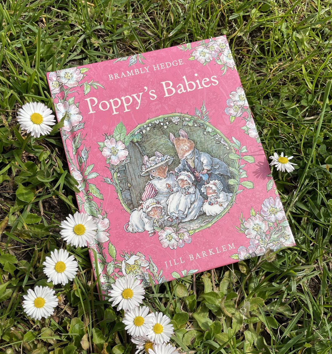 We’re celebrating 30 years of Poppy’s Babies, first published back in Spring 1994. We will be sharing behind the scenes sketches and illustrations from our archives throughout May and June. More here bit.ly/3xvr93m