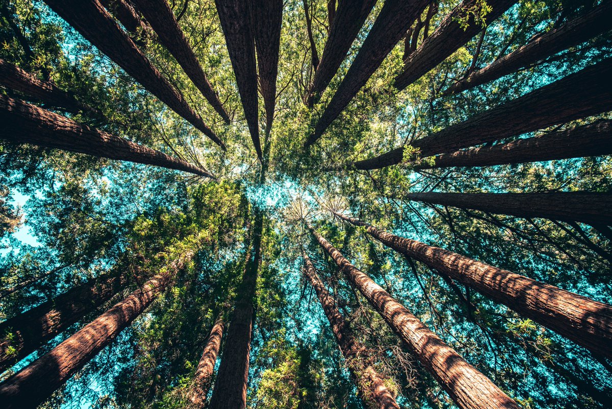 100 Ways in 100 Days™ (@100wayseco) on Twitter photo 5th nugget from our colab with psychologist <a href="/cgregoryx/">Claire Gregory, PhD</a> PhD (see Mon-Fri's posts: tips & tricks proven to green-up people's habits).
“These can lead to changing a company’s (or community’s) culture in general, to be more eco-friendly, by just having everyone make small changes.” 5th nugget from our colab with psychologist <a href="/cgregoryx/">Claire Gregory, PhD</a> PhD (see Mon-Fri's posts: tips & tricks proven to green-up people's habits).
“These can lead to changing a company’s (or community’s) culture in general, to be more eco-friendly, by just having everyone make small changes.”