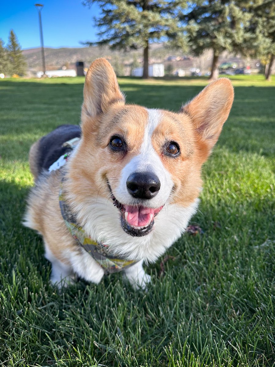 Someone is excited to go meet our tour guests!