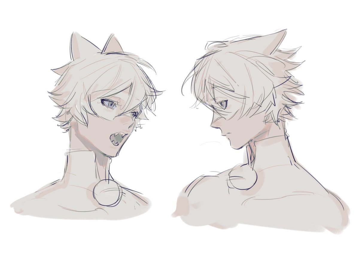 Meowbyacow60004's tweet photo. gimmi more chat blanc https://t.co/7nrjR7yVfG