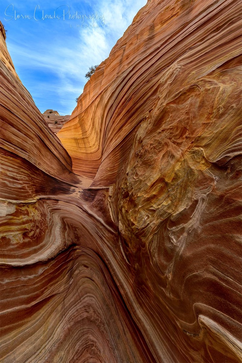 Hiked 🥾 #TheWave 🌊! Just an incredible place. 😎🥰. #coyotebuttes #arizona #permit #adventure #geology #travel #thewavearizona #hiking #coyotebuttesnorth #nikonoutdoors #nikonoutdoorsusa #zcreators #z7ii #naturephotography #natgeophotos #natgeoyourshot_ @riyets @discovery