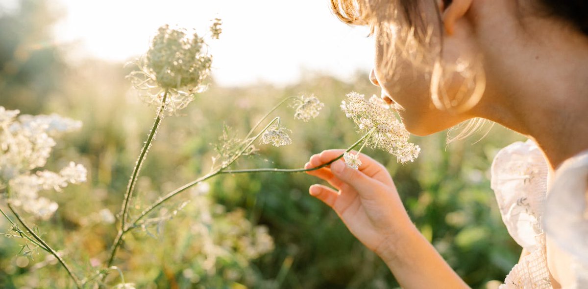 HadNews_com's tweet image. Why diversity in nature could be the key to mental wellbeing - hadnews.com/why-diversity-…
#BIODIVERSITY #ENVIRONMENT #GIVE_ME_PERSPECTIVE #MENTAL_HEALTH #NATURE #WELLBEING