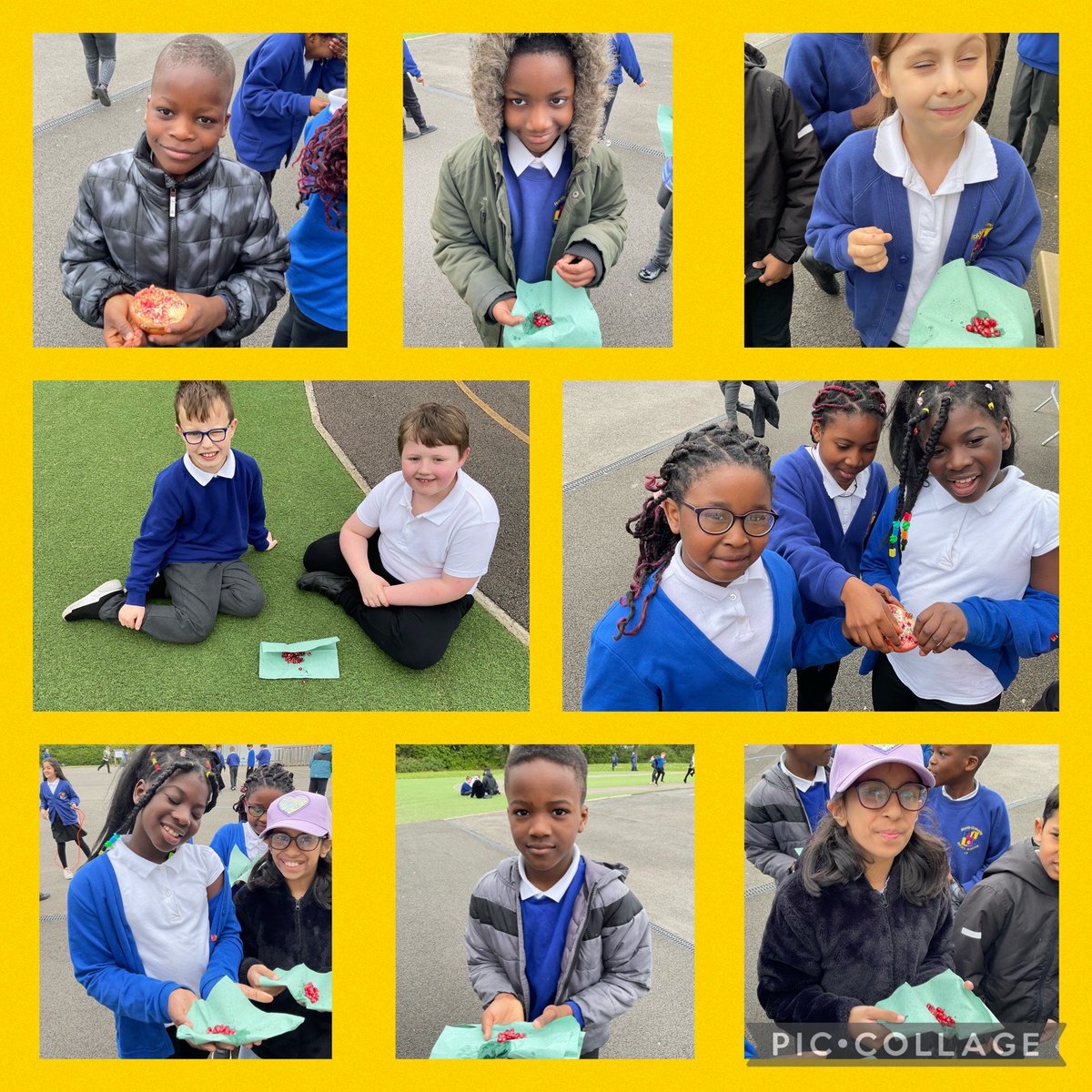 Year 4 have been tasting pomegranates after reading a description about them in our class text ‘The boy at the back of the class’. @OnjaliRauf @CNicholson_Edu